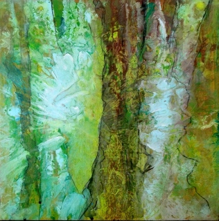 PEAU D'ARBRE - les derniers